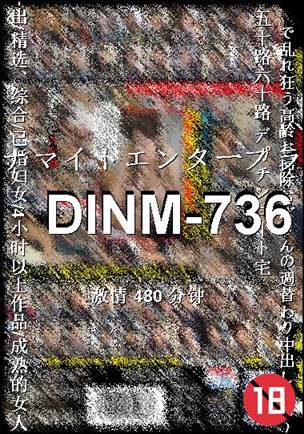 DINM-736480 