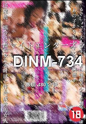 DINM-734480 