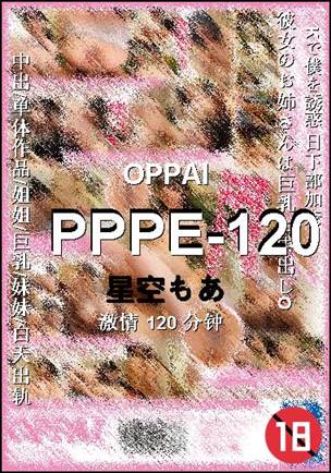 PPPE-120120 