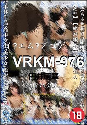 VRKM-97674 