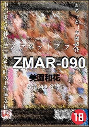 ZMAR-090253 