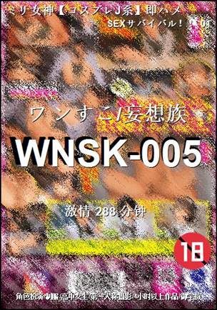 WNSK-005288 