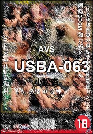USBA-06397 