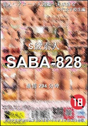 SABA-828294 分钟