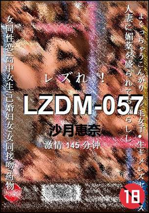 LZDM-057145 