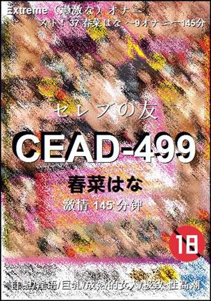 CEAD-499145 分钟