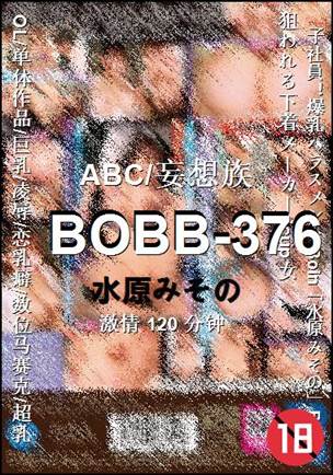 BOBB-376120 