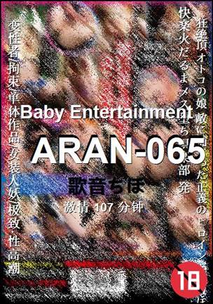ARAN-065107 