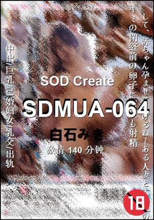 SDMUA-064140 