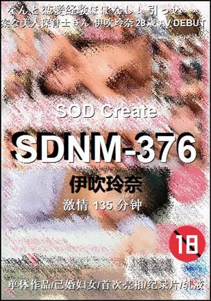 SDNM-376135 