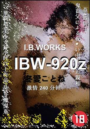 IBW-920z240 