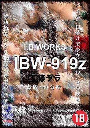 IBW-919z140 