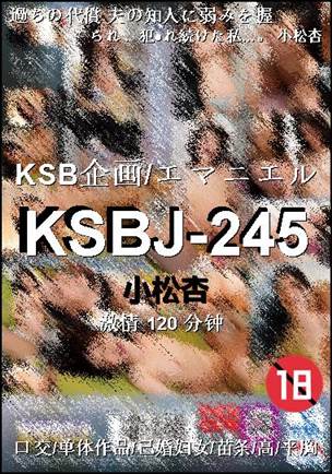 KSBJ-245120 