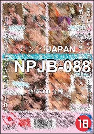 NPJB-088380 