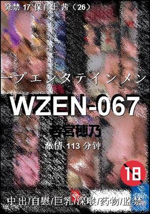 WZEN-067113 