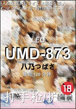 UMD-873120 