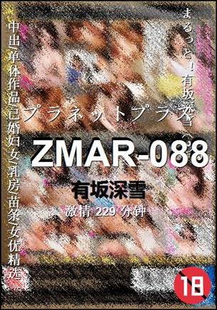 ZMAR-088229 