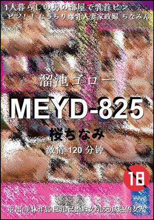 MEYD-825120 