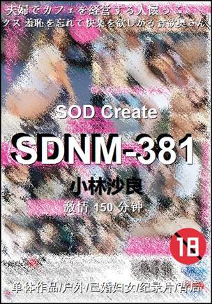 SDNM-381150 