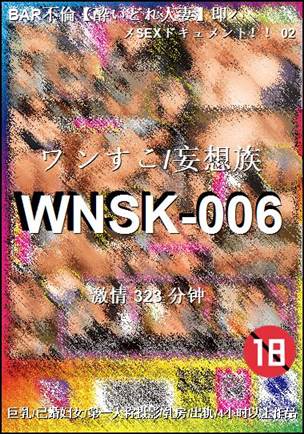 WNSK-006323 