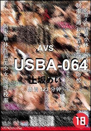 USBA-064123 