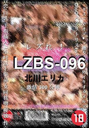 LZBS-096300 