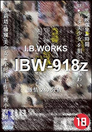 IBW-918z240 