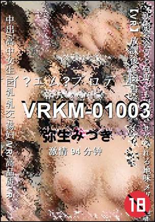 VRKM-0100394 