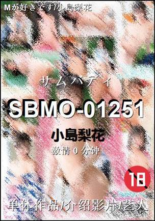 SBMO-012510 