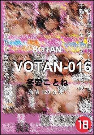 VOTAN-016120 