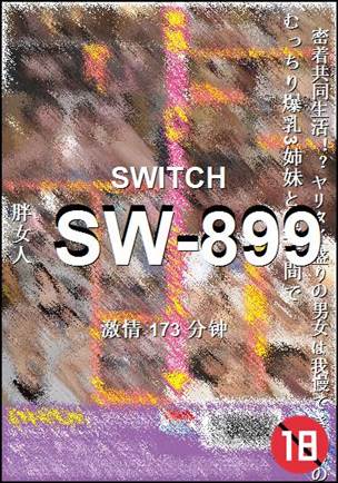 SW-899173 