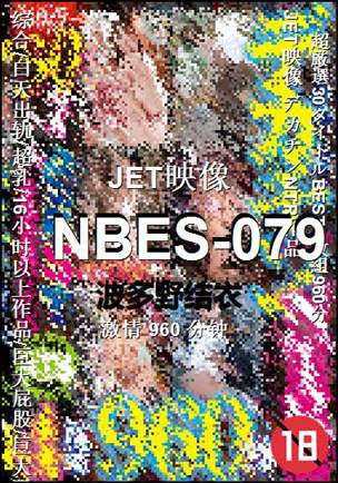 NBES-079960 