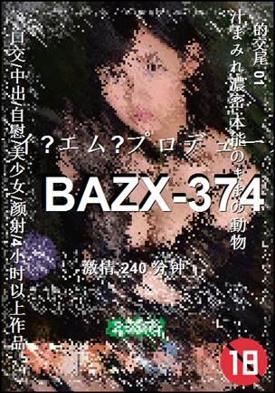 BAZX-374240 