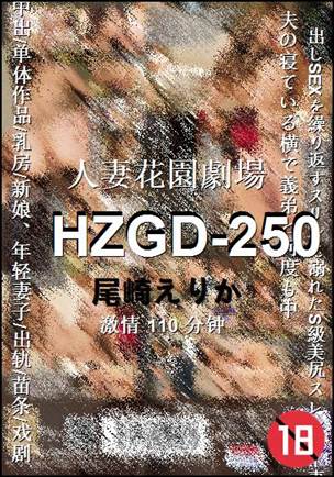 HZGD-250110 