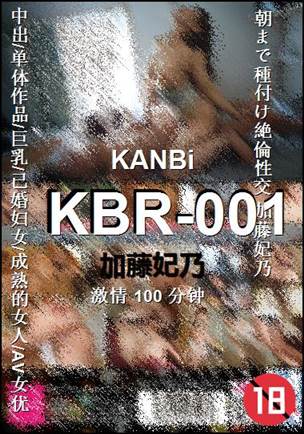 KBR-001100 