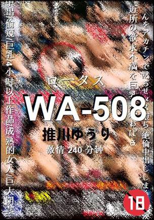 WA-508240 