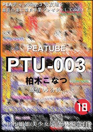 PTU-00395 