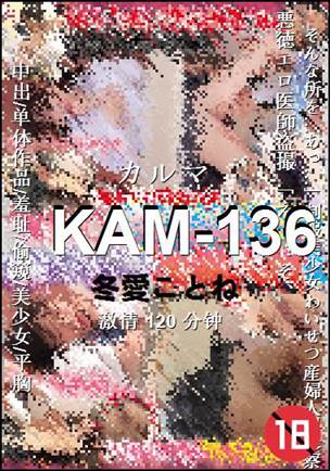 KAM-136120 