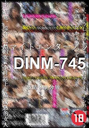 DINM-745480 