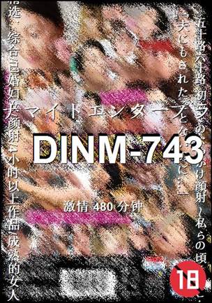 DINM-743480 
