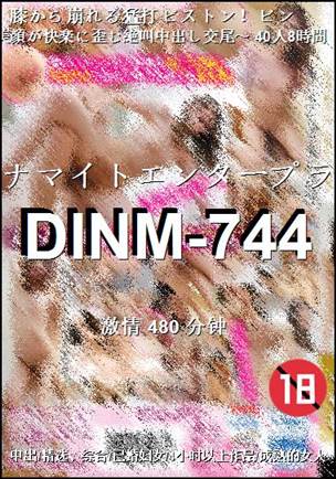 DINM-744480 