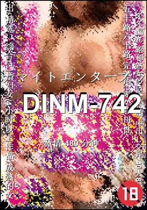 DINM-742480 