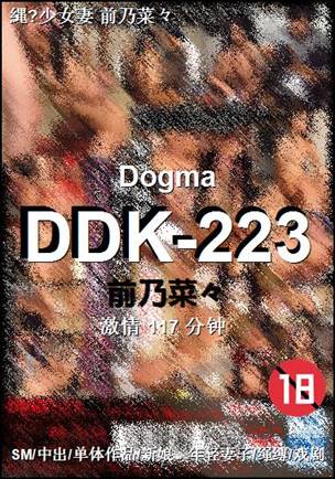 DDK-223117 