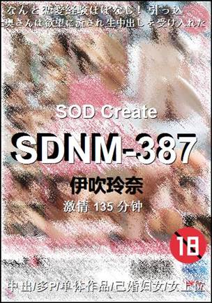 SDNM-387135 