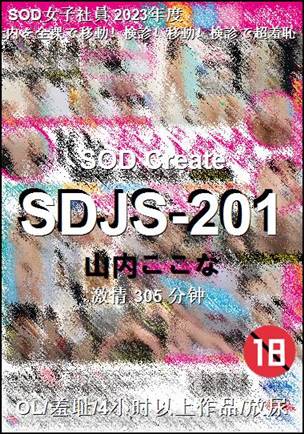 SDJS-201305 