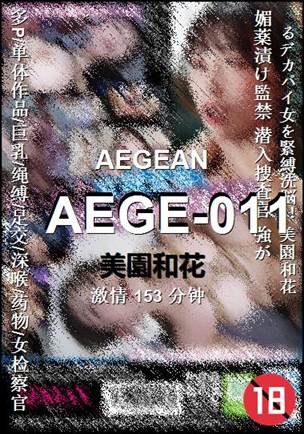 AEGE-011153 