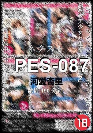 PES-087190 