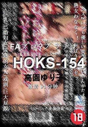 HOKS-15491 