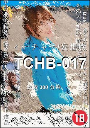 TCHB-017300 