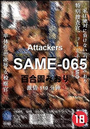 SAME-065110 